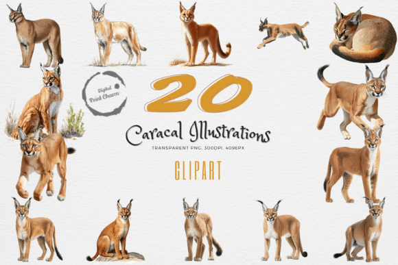 Elegant Caracal 20 PNG Pack Now: Integrating High-Quality Wildlife Assets into Creative Workflows