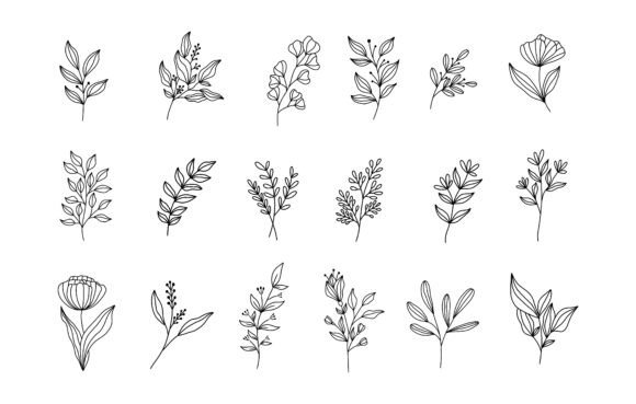 Hand Draw Line Art Botanical Set: Elevating Design with Minimalist Nature