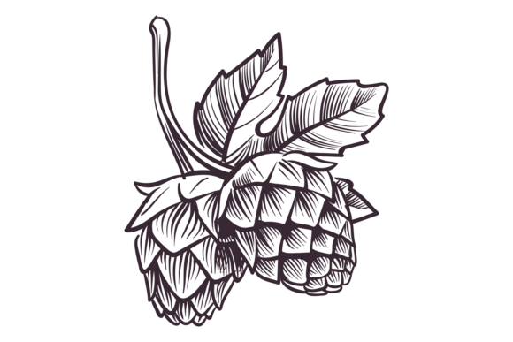 Strategic Visual Assets: Leveraging Hop Cones and Leaves for Brand Identity