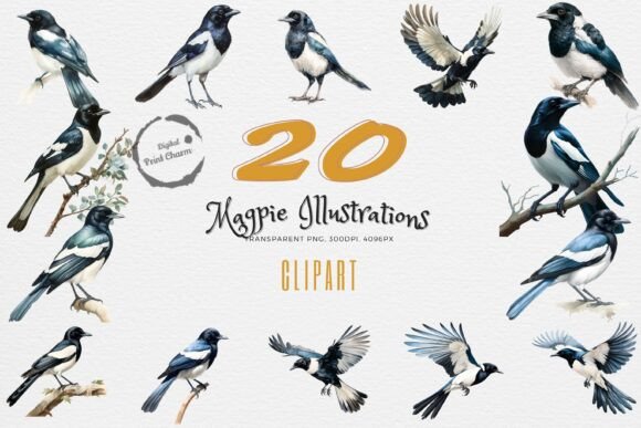 Unveiling the Mischief Magpie 20 PNG Bundle Now